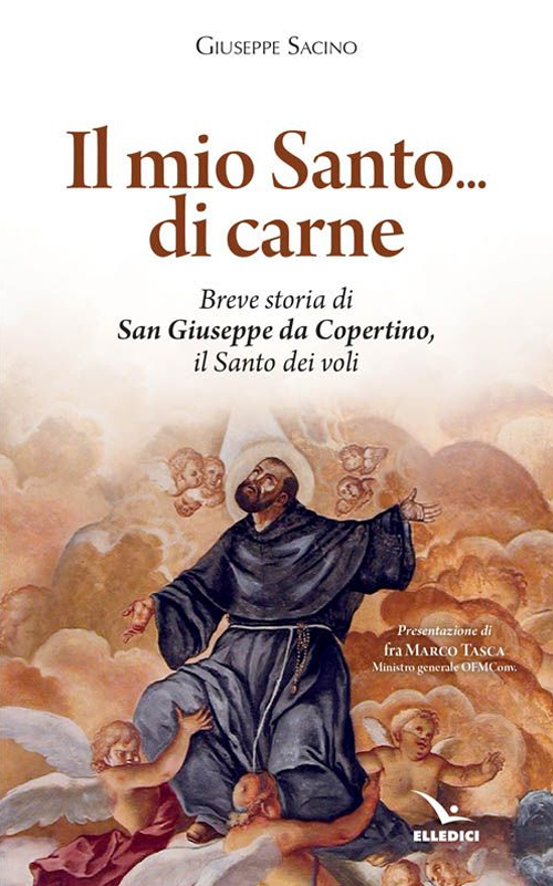 Mio santo... di carne Scarica PDF EPUB
