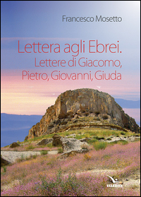 Lettera agli ebrei. Lettere di Giacomo, Pietro, Giovanni, Giuda Scarica PDF EPUB
