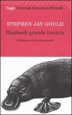 Libro Risplendi grande lucciola. Riflessioni di storia naturale Stephen Jay Gould
