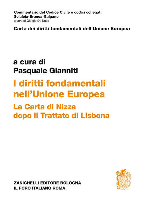 I diritti fondamentali nell'unione Europea. La carta di Nizza dopo il trattato di Lisbona Scarica PDF EPUB
