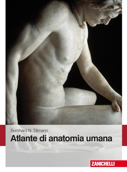 Atlante di anatomia umana Scarica PDF EPUB
