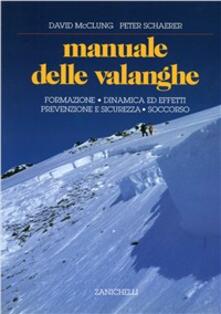 Manuale delle valanghe. Formazione. Dinamica ed effetti. Prevenzione e sicurezza. Soccorso.pdf