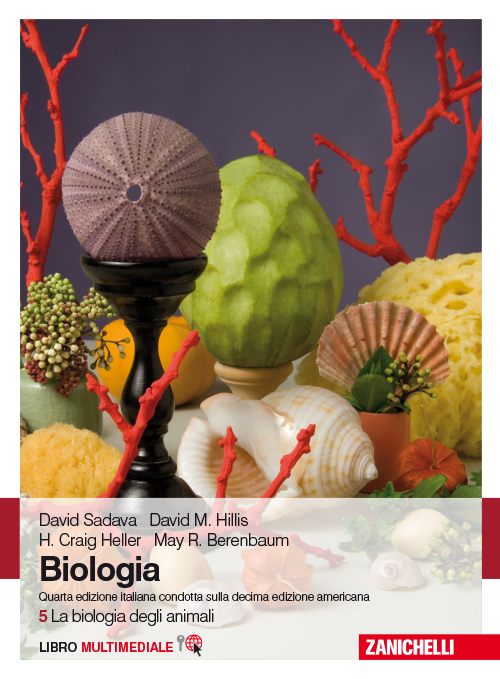 Biologia. Con Contenuto digitale (fornito elettronicamente). Vol. 5: La biologia degli animali. Scarica PDF EPUB
