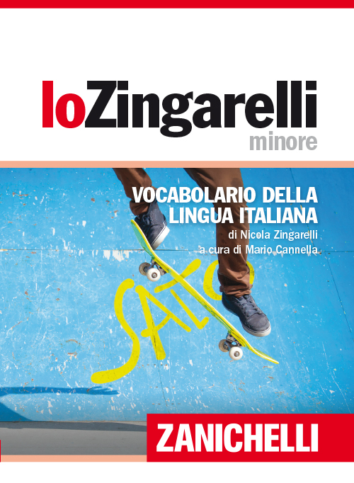 Lo Zingarelli minore. Vocabolario della lingua italiana Scarica PDF EPUB
