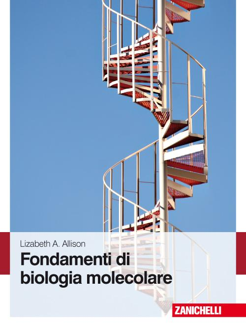 Fondamenti di biologia molecolare Scarica PDF EPUB
