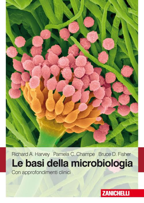 Le basi della microbiologia