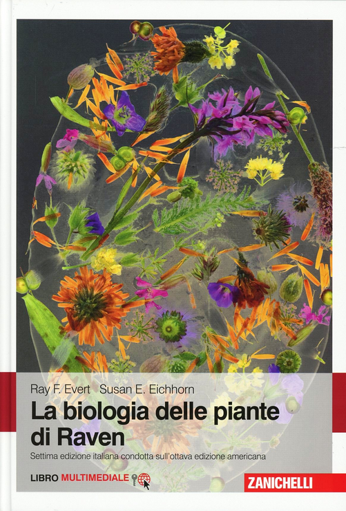 Biologia delle piante di Raven. Con Contenuto digitale (fornito elettronicamente)