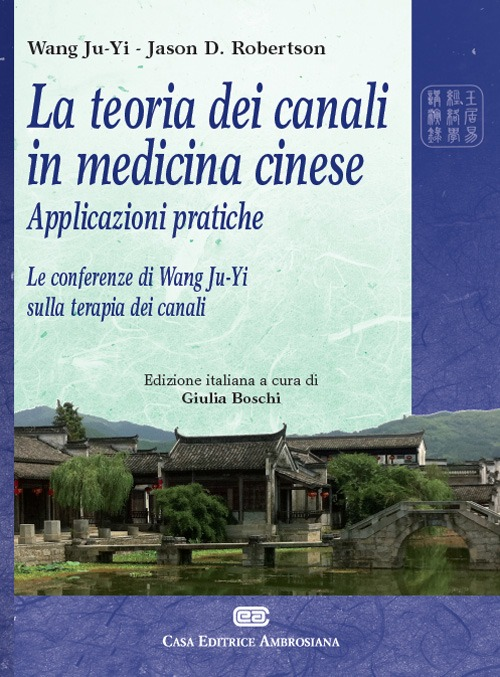 La teoria dei canali in medicina cinese Scarica PDF EPUB
