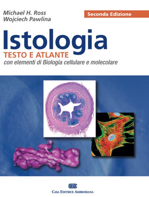 Istologia. Teste e atlante. Con elementi di biologia cellulare e molecolare. Con Contenuto digitale (fornito elettronicamente) Scarica PDF EPUB
