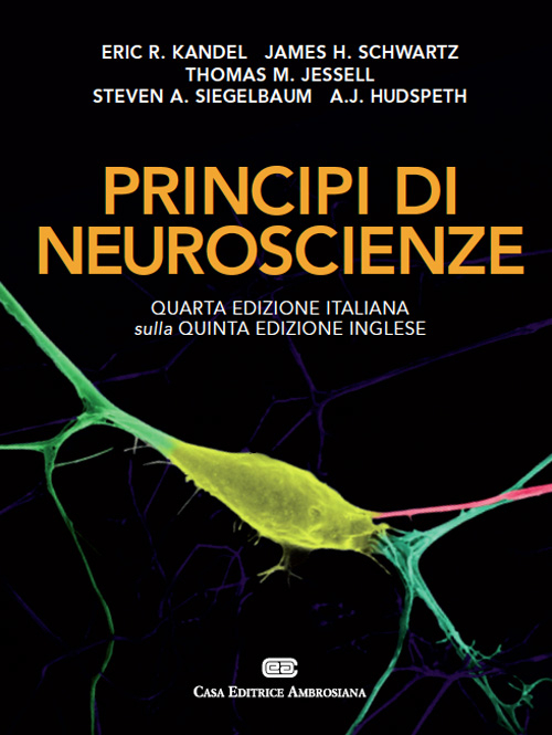 Principi di neuroscienze. Con Contenuto digitale (fornito elettronicamente) Scarica PDF EPUB
