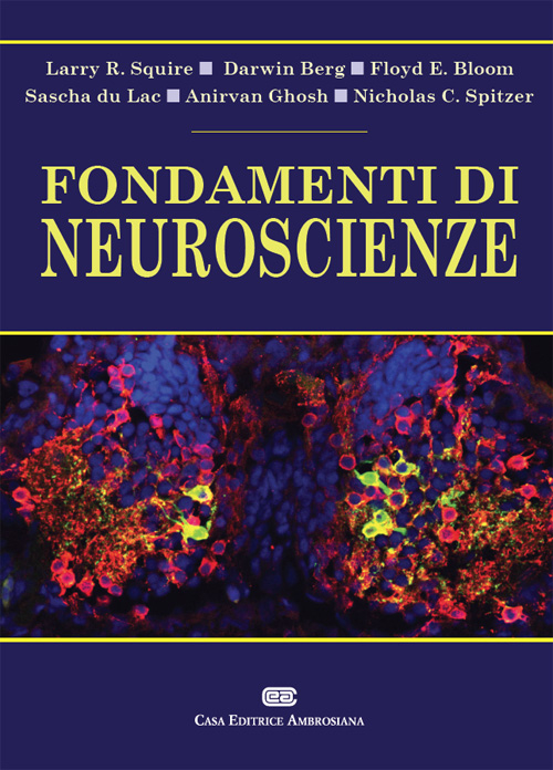 Fondamenti di neuroscienze. Con Contenuto digitale (fornito elettronicamente) Scarica PDF EPUB
