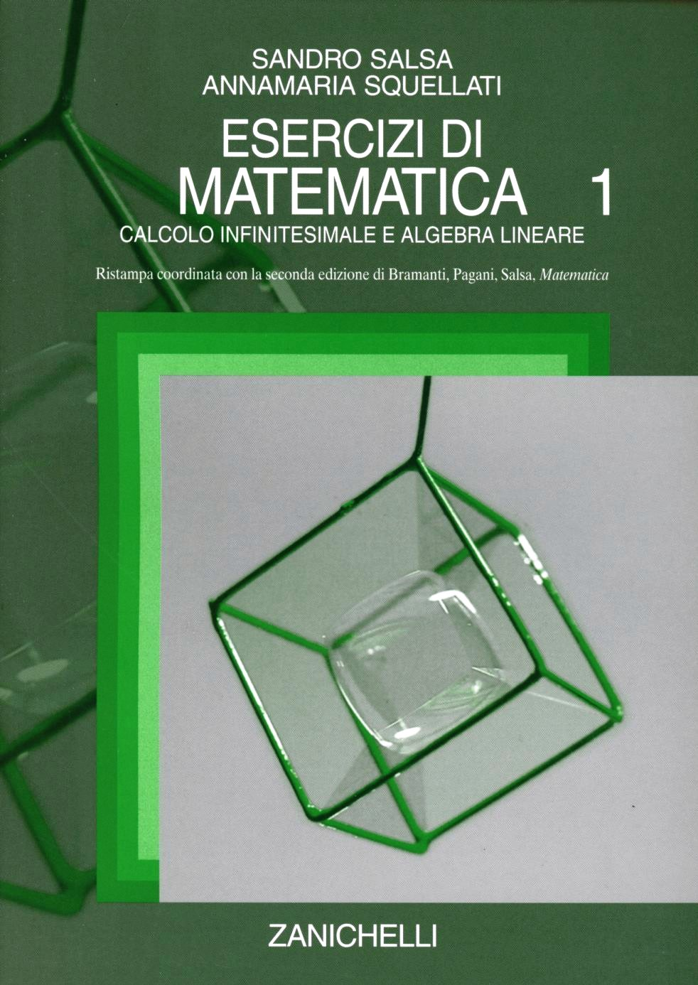 Esercizi di matematica. Vol. 1: Calcolo infinitesimale e algebra lineare.