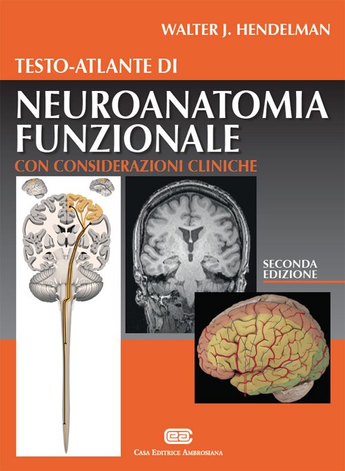 Image of Testo-atlante di neuroanatomia funzionale. Con considerazioni cliniche