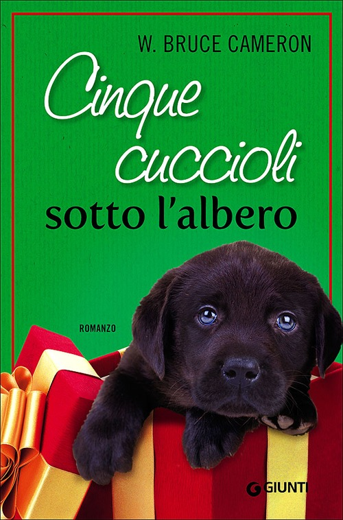 Cinque cuccioli sotto l'albero