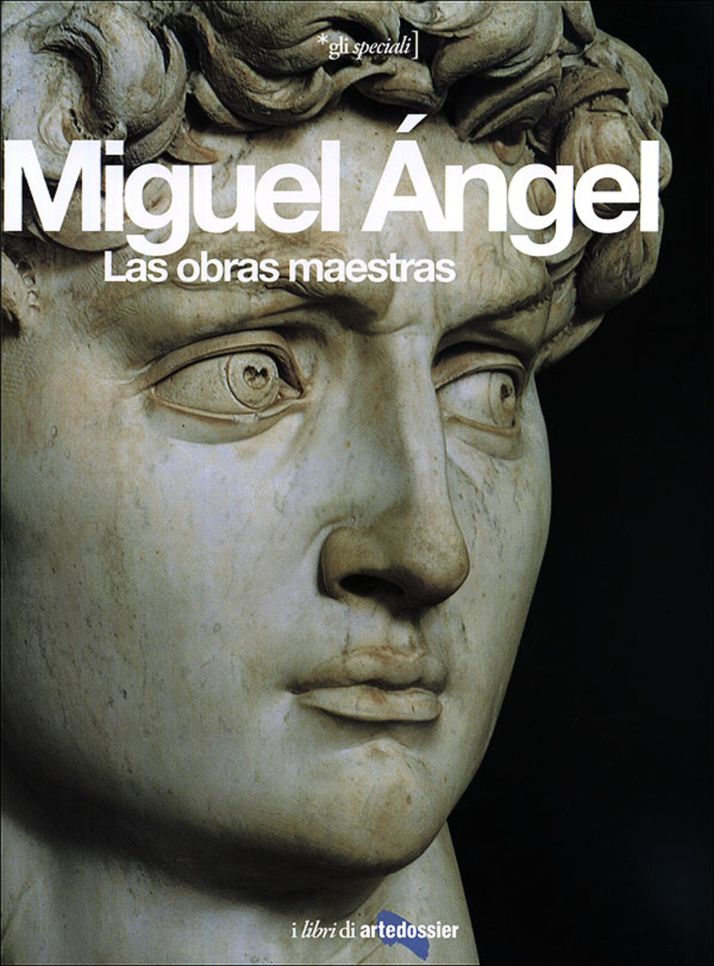 Miguel Angel. Las obras maestras