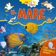 Il mare. Ediz. a colori.pdf