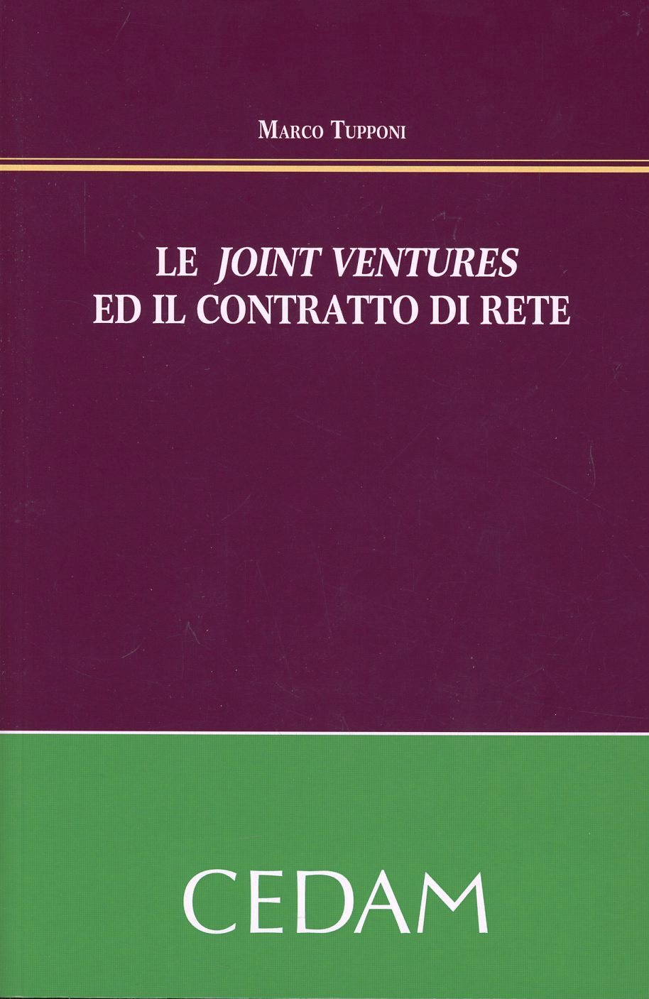 Le joint venture ed il contratto di rete Scarica PDF EPUB
