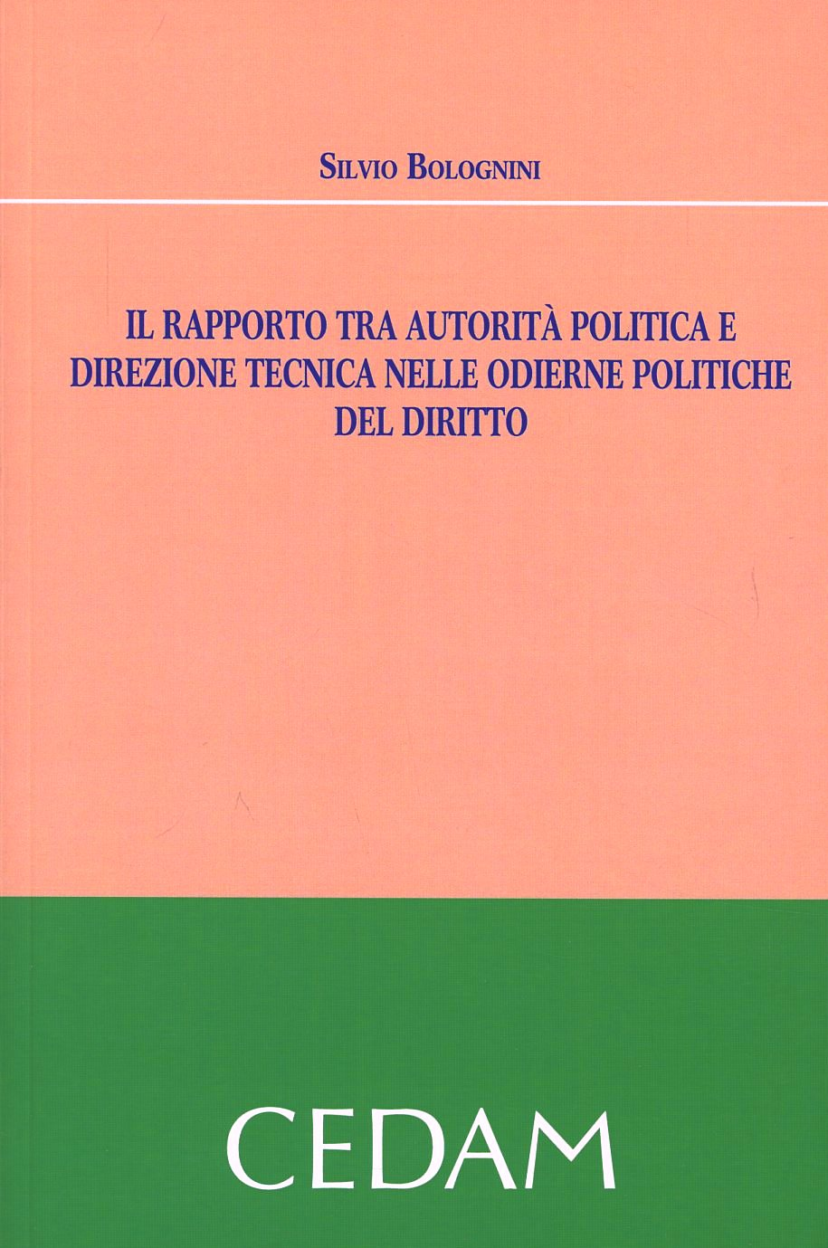 Il rapporto tra autorità politica e direzione tecnica nelle odierne politiche del diritto Scarica PDF EPUB
