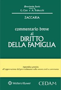 Commentario breve al diritto della famiglia Scarica PDF EPUB
