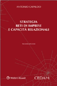 Strategia, reti di imprese e capacità relazionali Scarica PDF EPUB
