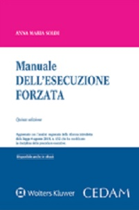 Manuale dell'esecuzione forzata