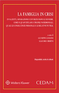 La famiglia in crisi. Invalidità, separazione e divorzio dopo le riforme