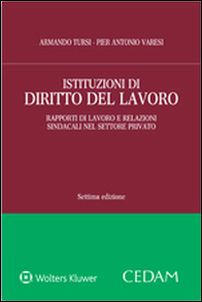 Istituzioni di diritto del lavoro. Rapporti di lavoro e relazioni sindacali nel settore privato