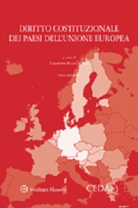 Diritto costituzionale dei paesi dell'Unione Europea Scarica PDF EPUB
