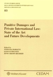 Copertina  Punitive damages and private international law : state of the art and future developements