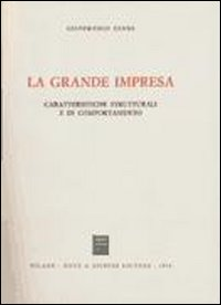 La grande impresa. Caratteristiche strutturali e di comportamento Scarica PDF EPUB
