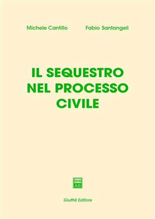 Il sequestro nel processo civile Scarica PDF EPUB
