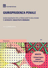 Libro Giurisprudenza penale 2017