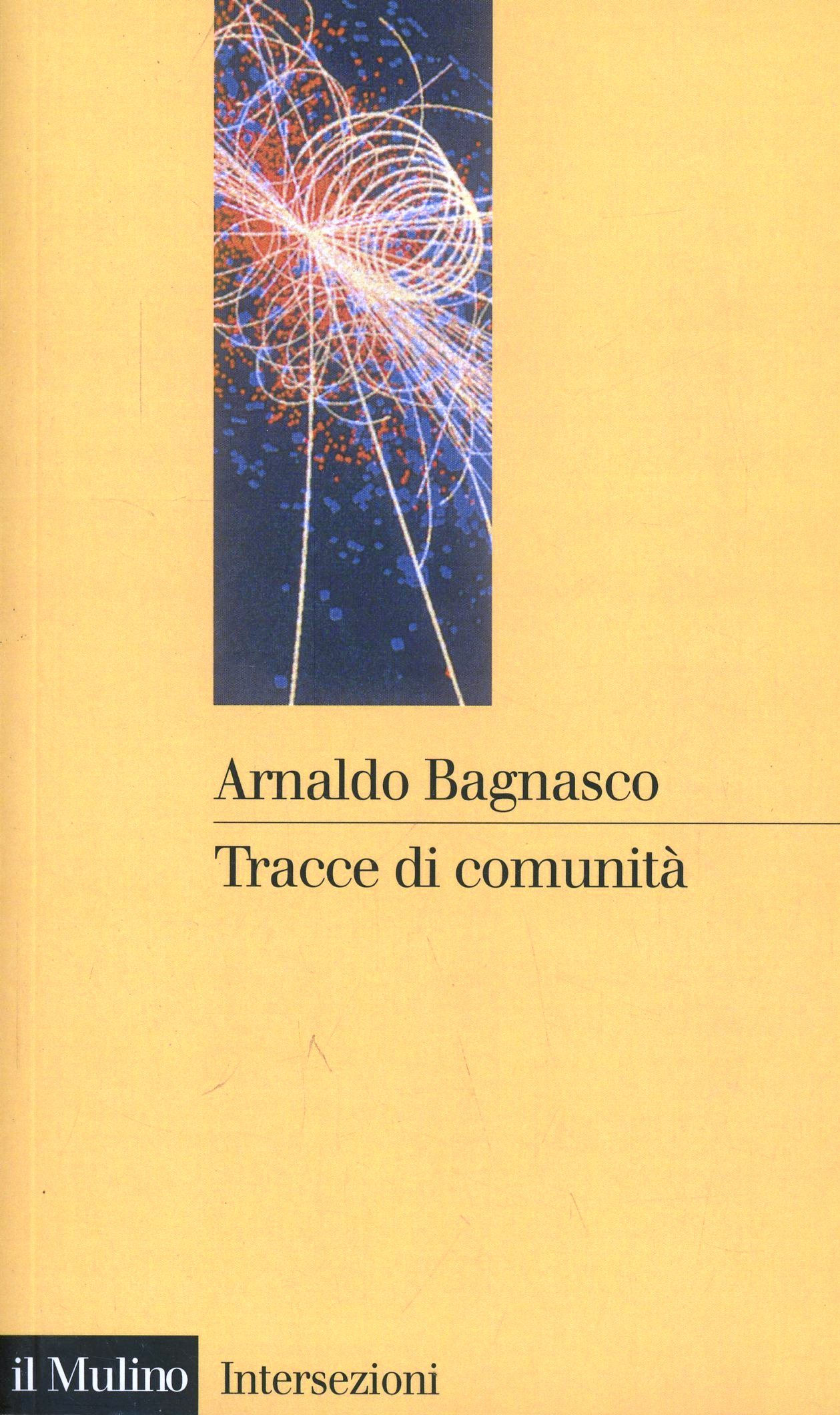 Tracce di comunità. Temi derivati da un concetto ingombrante Scarica PDF EPUB
