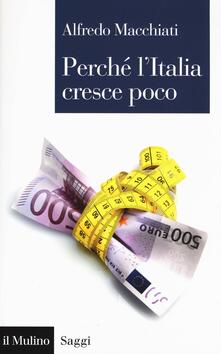 Perché lItalia cresce poco.pdf