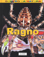 Il ragno Scarica PDF EPUB
