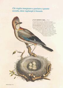 Il Grande Libro Delle Emozioni Ediz A Colori