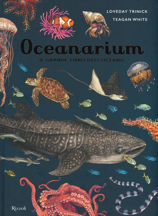 Oceanarium Il Grande Libro Dell Oceano Loveday Trinick Libro Rizzoli Ibs