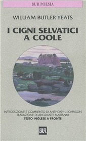 Copertina  I cigni selvatici a Coole
