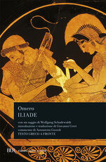 Libro L' iliade Omero
