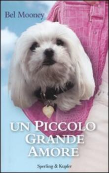 Un piccolo grande amore.pdf
