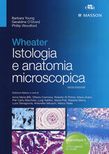 Libro Wheater. Istologia e anatomia microscopica Barbara Young John W. Heath Phillip Woodford