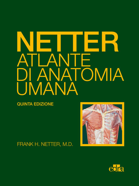 Anatomia Umana Martini Ebook