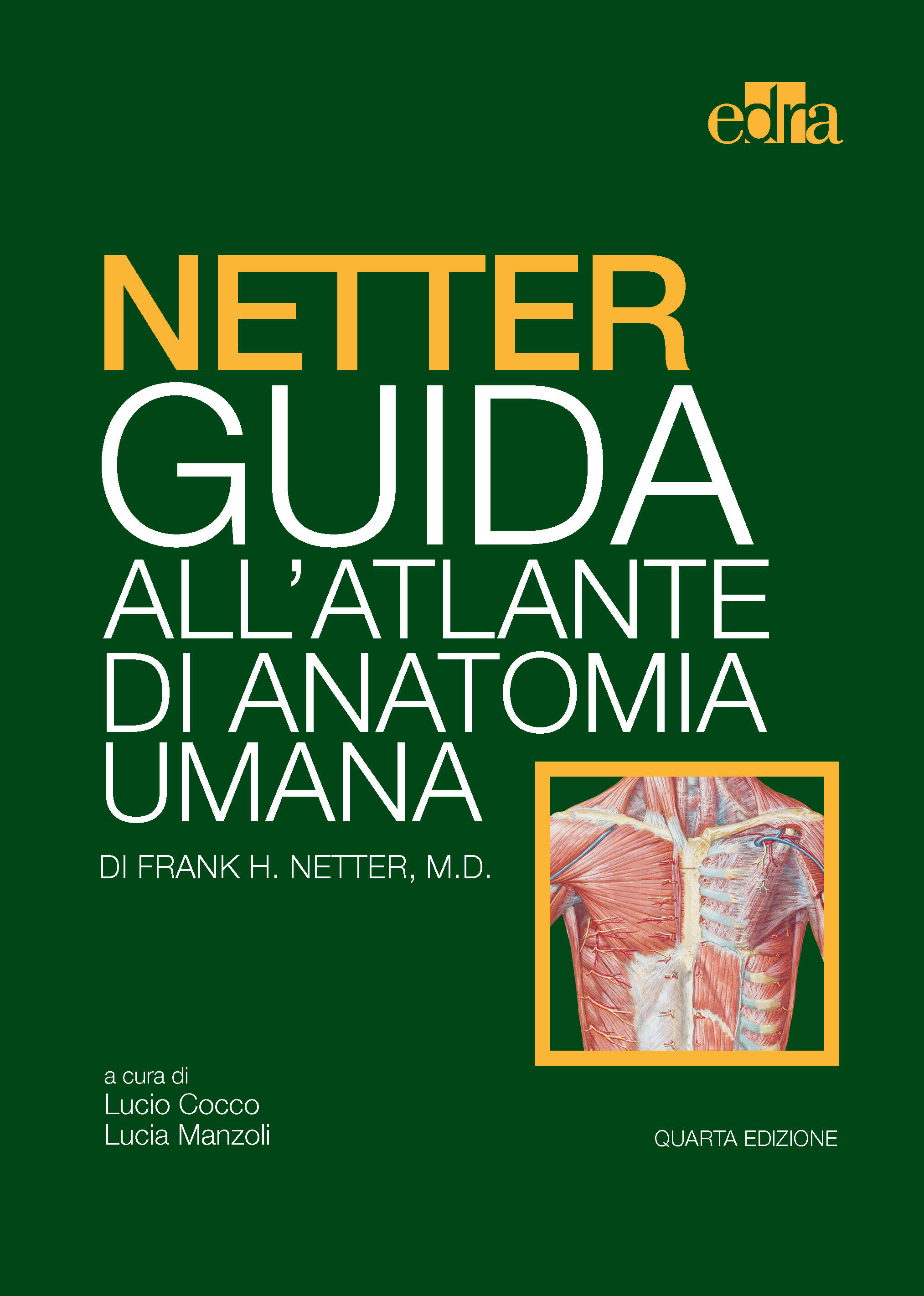 Netter. Guida all'atlante di anatomia umana Netter, Frank H. Ebook EPUB con Light DRM IBS