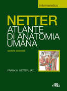 Libro Netter. Atlante di anatomia umana. Selezione tavole per Scienze infermieristiche Frank H. Netter