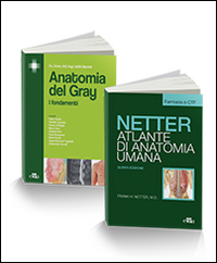 Image of Anatomia per Farmacia. Atlante anatomia umana. Selezione tavole per farmacia e CTF-Anatomia del Gray. I fondamenti