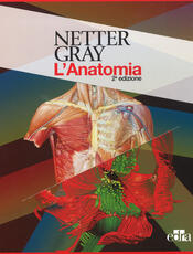 Libro Netter Gray. L'anatomia. La chiarezza e il fascino dell'anatomia: Anatomia del Gray. Le basi anatomiche per la pratica clinica-Atlante di anatomia umana Frank H. Netter Susan Standring