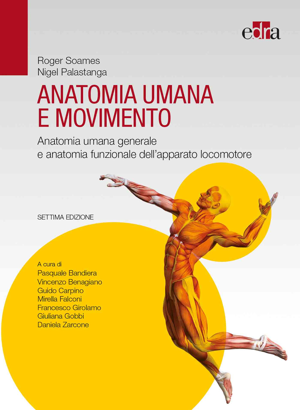 Image of Anatomia umana e movimento. Anatomia umana generale e anatomia funzionale dell'apparato locomotore