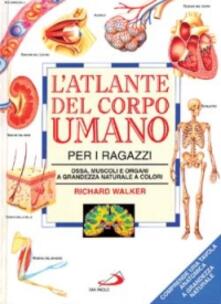 L Atlante Del Corpo Umano Per I Ragazzi Ossa Muscoli E Organi A Grandezza Naturale A Colori Richard Walker Libro San Paolo Edizioni Atlanti Ibs