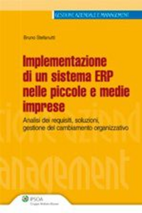 Implementazione di un sistema ERP nelle PMI