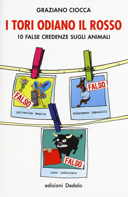 Perchè I Tori Odiano Il Rosso